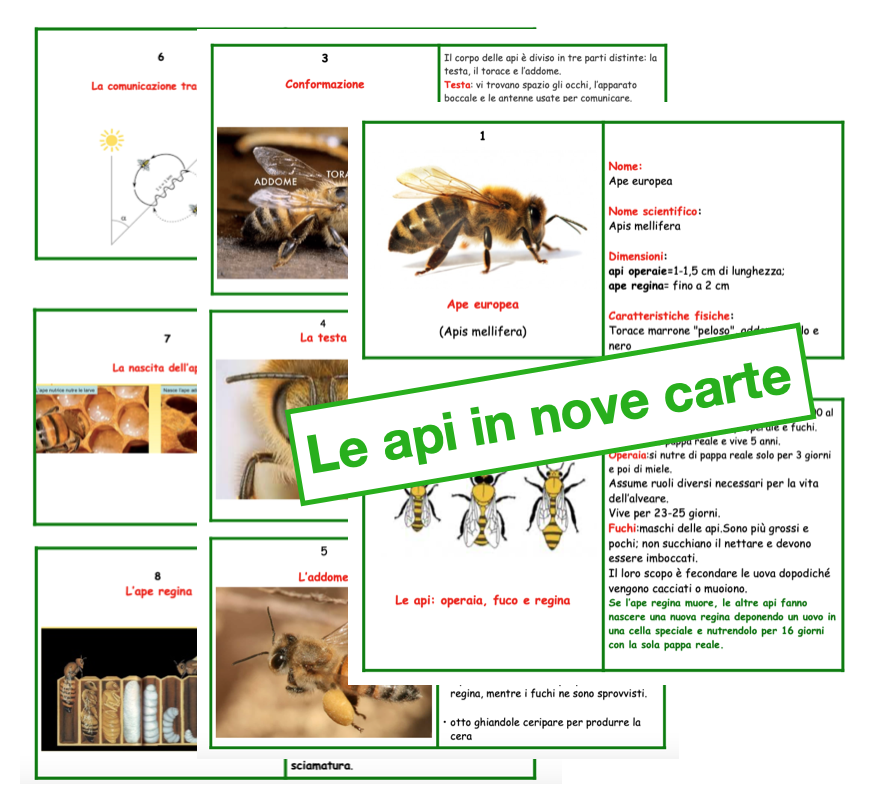 Le api in nove carte