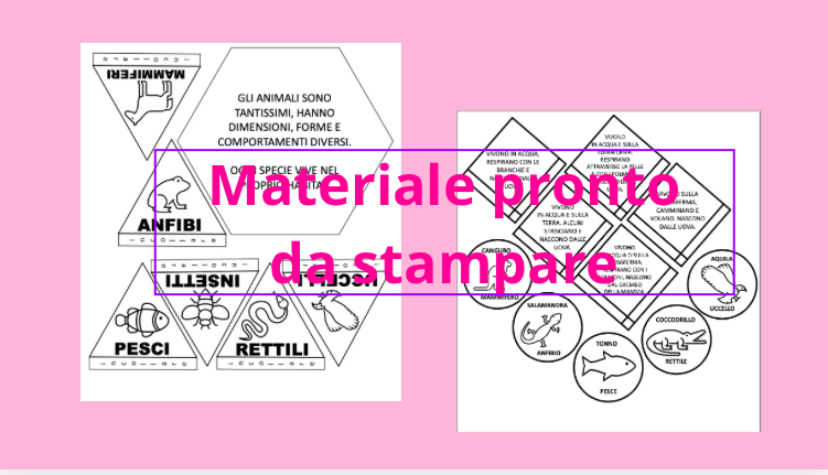 KIT COMPLETO Scienze: Gli Animali - Classe 2ª Scuola Primaria (Obiettivi, Schede, Verifiche, Attività e Giochi)