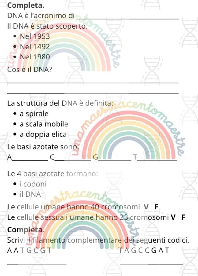 Estrazione del DNA di un kiwi e una banana