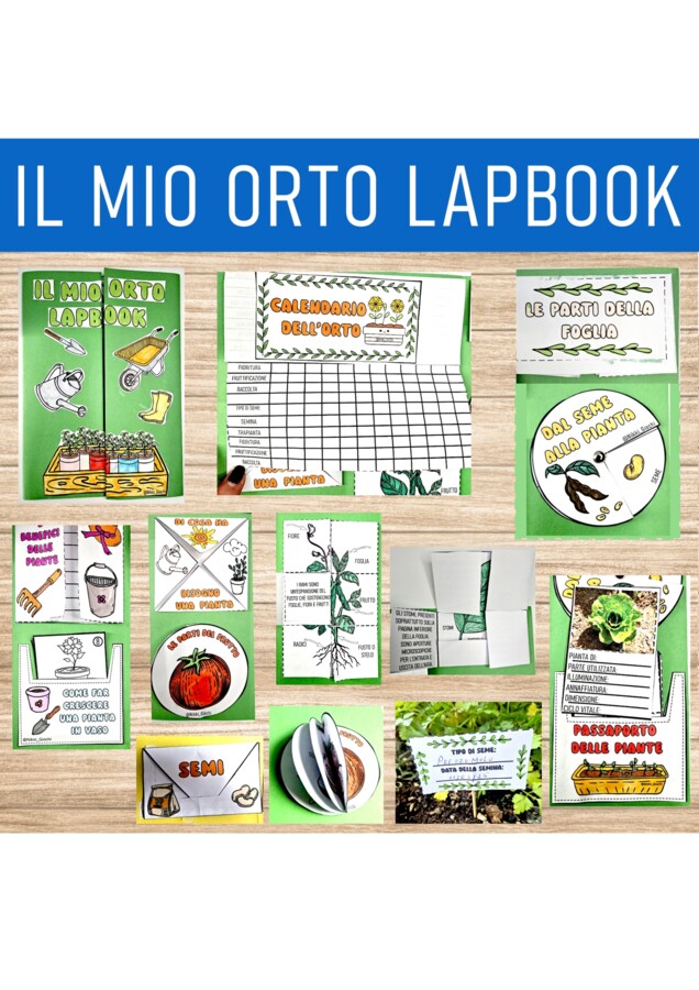 🌿 Lapbook “Il mio orto”