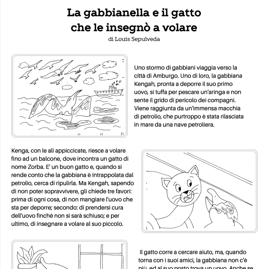 La gabbianella e il gatto - racconto
