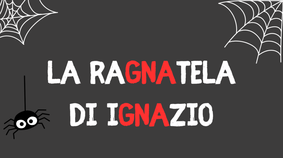 Il ragno Ignazio
