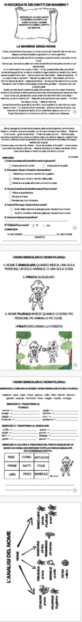 Il NOME: singolare e plurale, comprensione e analisi