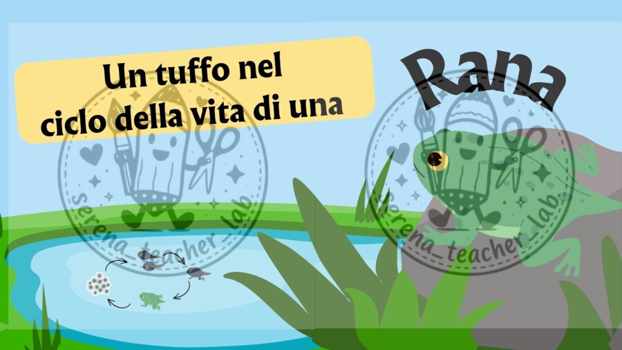 Il ciclo di vita della rana – Slide operative per la classe prima
