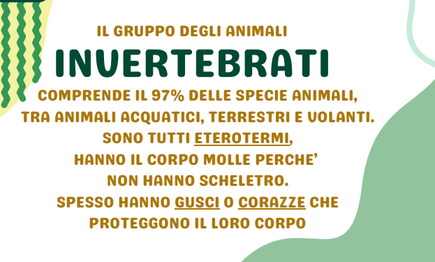 VERTEBRATI E INVERTEBRATI: MINI BOOK