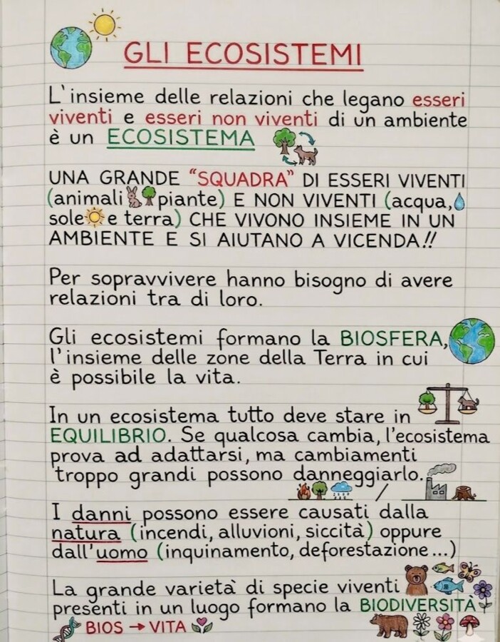 Gli ecosistemi in Scienze
