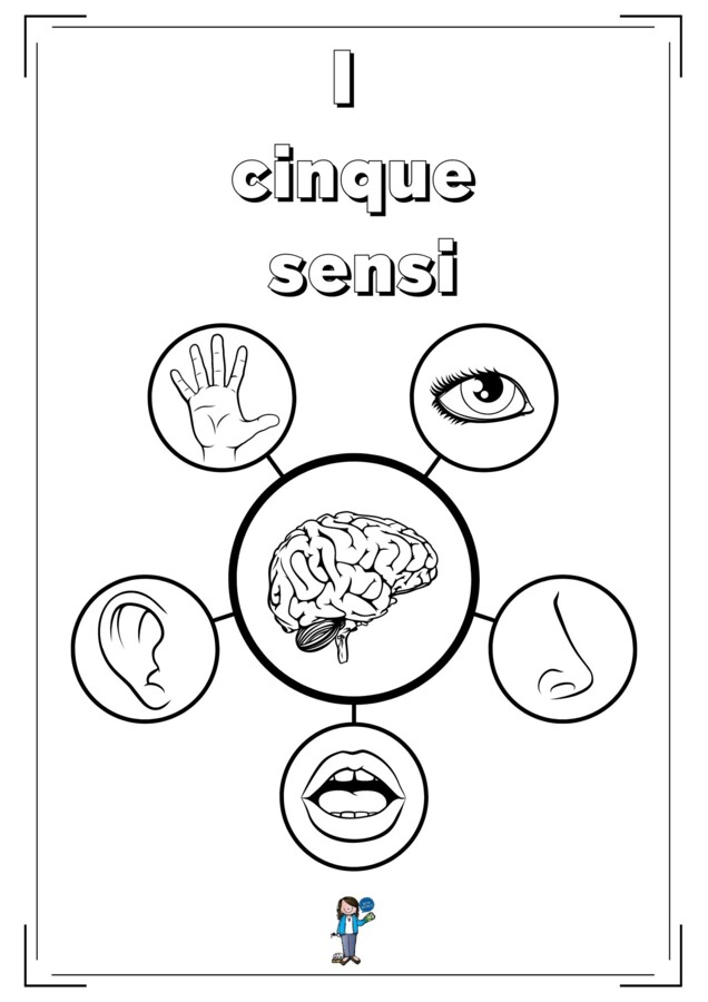 I cinque sensi