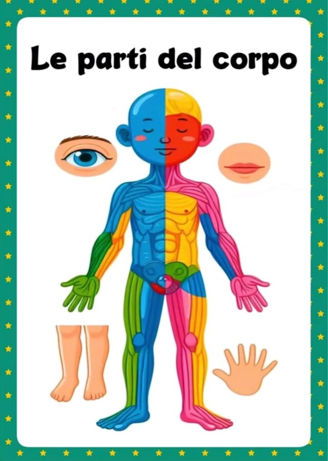 Le parti del corpo