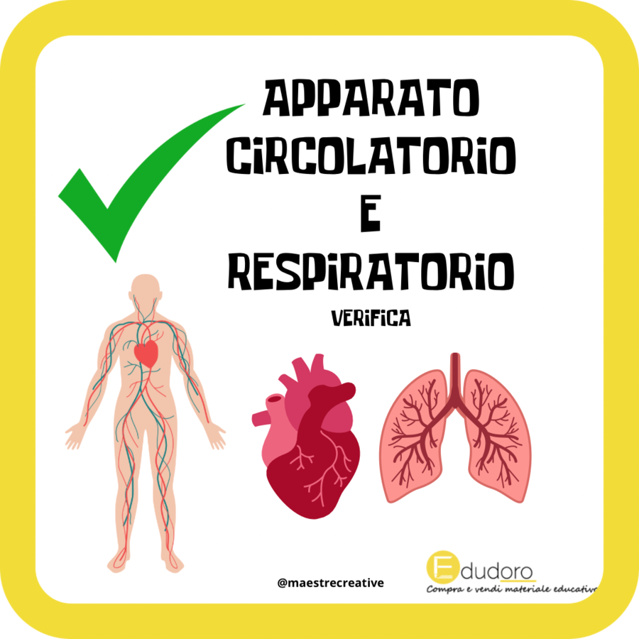 Apparato CIRCOLATORIO E RESPIRATO - VERIFICA con SOLUZIONI