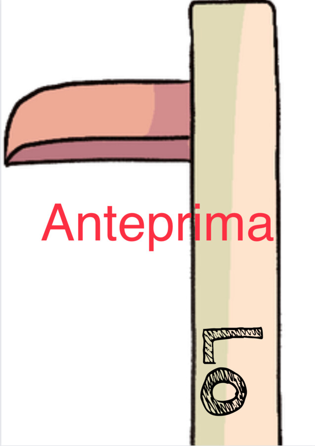 Lo scaffale della gentilezza