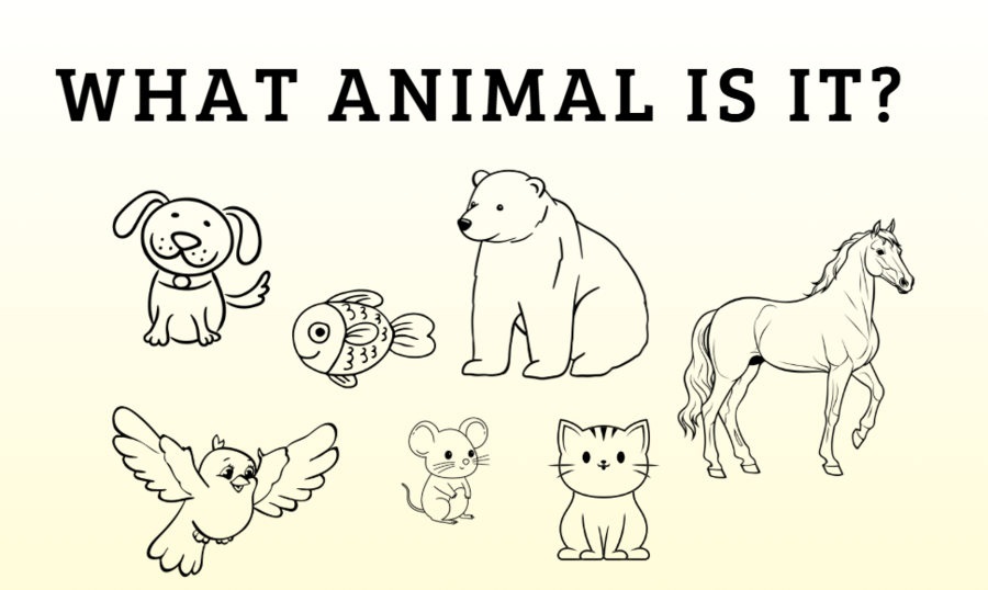 WHAT ANIMAL IS IT? - imparare l'INGLESE in modo facile e divertente (vocaboli: teoria + esercizi)