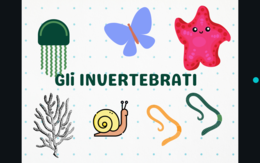 Gli animali invertebrati - presentazione ppt