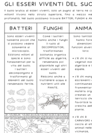 Gli esseri viventi del suolo