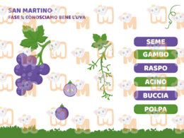 San Martino: Dall'uva al vino!