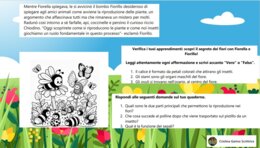 IL SEGRETO DEI FIORI IN COMPAGNIA DELL'APE FIORELLA E DEL BOMBO FIORILLO