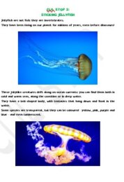 CLIL - SUMMER AT BLUE COVE