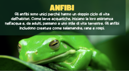 Kit Scienze Classe 2ª – Gli Animali (Parte 2): Habitat, Alimentazione e Movimen