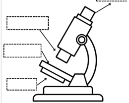 Il microscopio