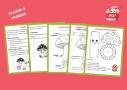 LA FABBRICA DEI PDF: Scienze 4 - I FUNGHI materiale per il quaderno + attività creativa