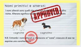 Alla scoperta di nomi e articoli