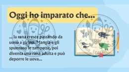 Il ciclo di vita della rana – Slide operative per la classe prima