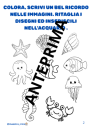 RICORDI BELLI DELLA SCORSA ESTATE