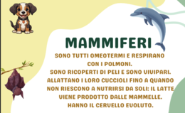 VERTEBRATI E INVERTEBRATI: MINI BOOK