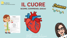 Il cuore