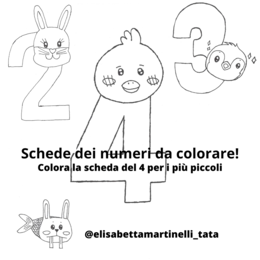 Scheda del 4
