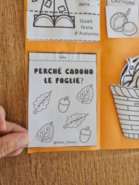 LAPBOOK sull'Autunno