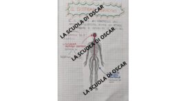 IL SISTEMA NERVOSO - QUADERNO DI SCIENZE CL. 5^ - con matrice-