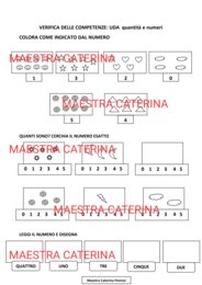 Verifica delle competenze: uda quantità e numeri