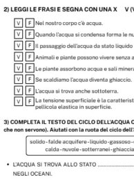 Verifica conclusiva sull'acqua (3 livelli differenti)