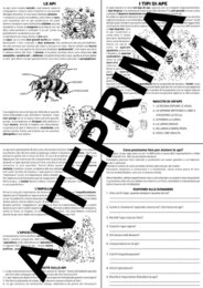 CONOSCERE LE API - SCUOLA PRIMARIA