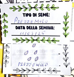 🌿 Lapbook “Il mio orto”