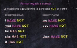 VERBO TO HAVE - forma negativa