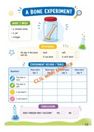 CLIL Science classe 3^