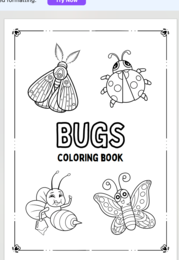 BUGS - INSETTI