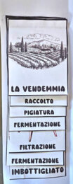 🍇 Lapbook dell’Uva