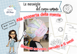 Alla Scoperta della Mente: Kit Interattivo Sistema Nervoso, Cervello 3D e i 5 Sensi (Scuola Primaria)