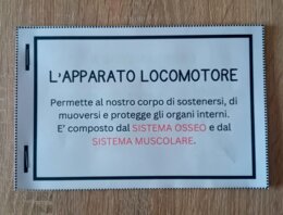 L' Apparato Locomotore - Flip Book