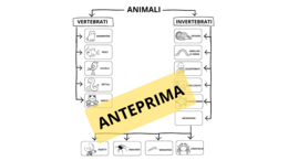 Animali vertebrati e invertebrati mappa