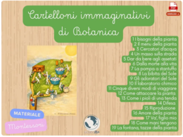 Botanica Montessori | 19 chart | Set completo 19 PDF Stampabile | 6-10 anni | Cartelloni impressionistici immaginativi bisogni della pianta