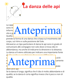 Il ciclo vitale dell'ape; la metamorfosi
