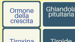 Memory - ghiandole e ormoni
