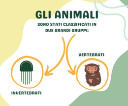 VERTEBRATI E INVERTEBRATI: MINI BOOK
