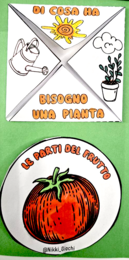 🌿 Lapbook “Il mio orto”