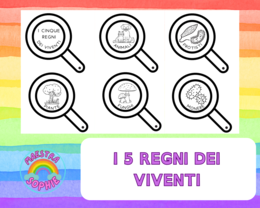 I 5 REGNI DEI VIVENTI - SCHEMA SEMPLICE DA MONTARE CON ISTRUZIONI