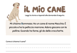 Il mio Cane. Breve testo di lettura e comprensione.