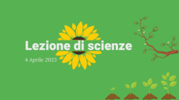 Gli esseri viventi: le piante